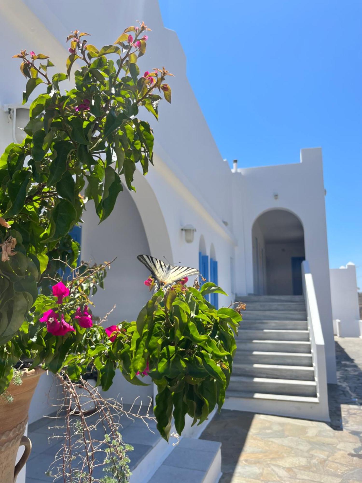 Hotel Petradi Chora  Bagian luar foto